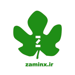 زمین ایکس