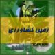 زمین کشاورزی
