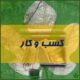 دانش و اطلاعات ویژه سازنده ها و پیمانکاران ساختمان سازی و بسازبفروش