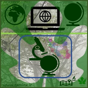 تحلیل زمین ایکس